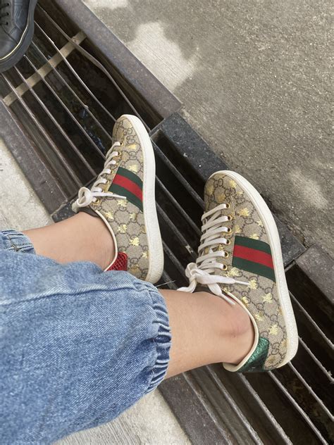 gucci bee sneakers men|Gucci sneakers ace women.